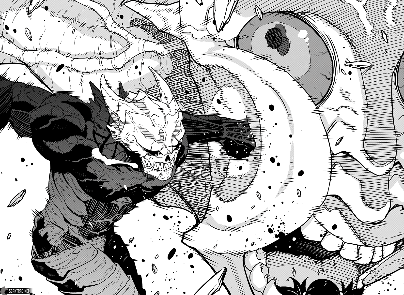 Read Kaiju No 8 VF Manga Online