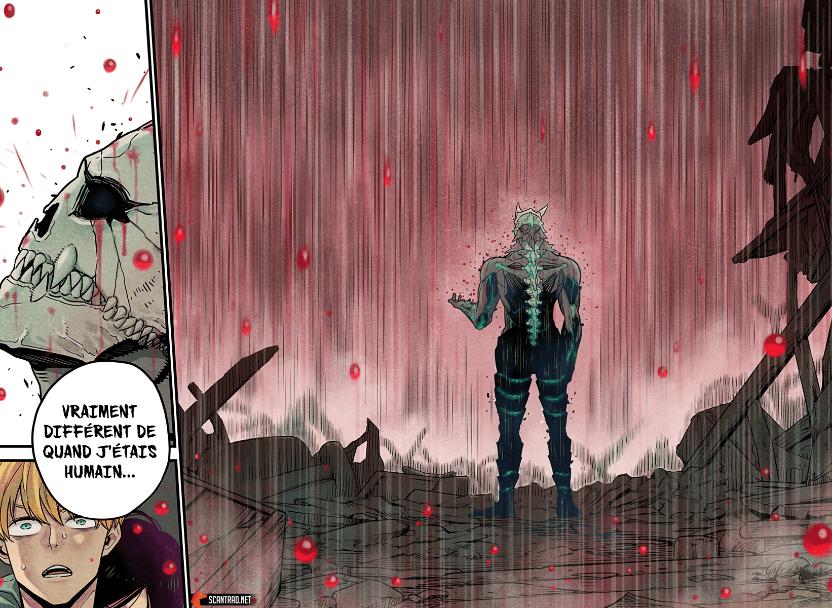 Read Kaiju No 8 VF Manga Online