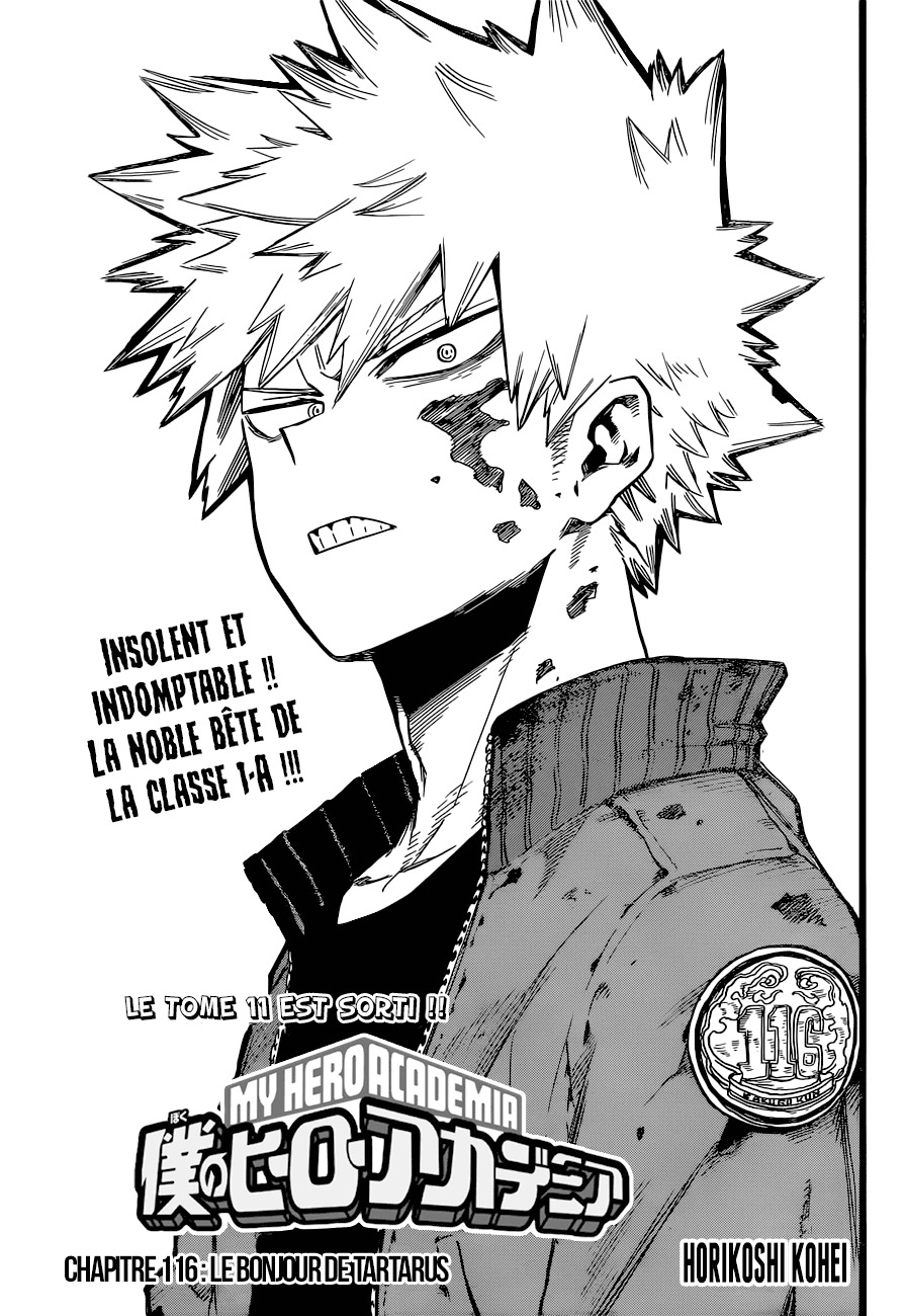 Read My Hero Academia VF Manga Online