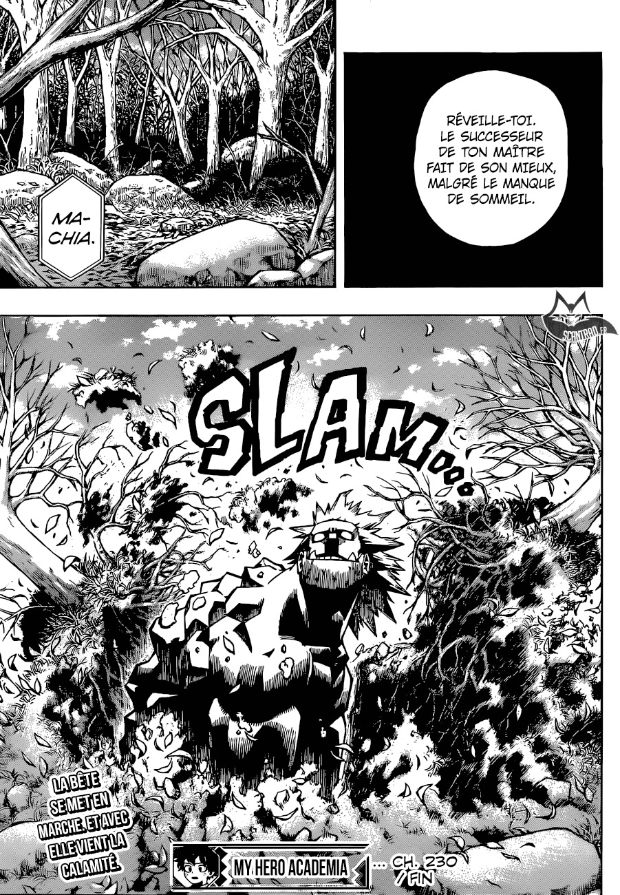 Read My Hero Academia VF Manga Online