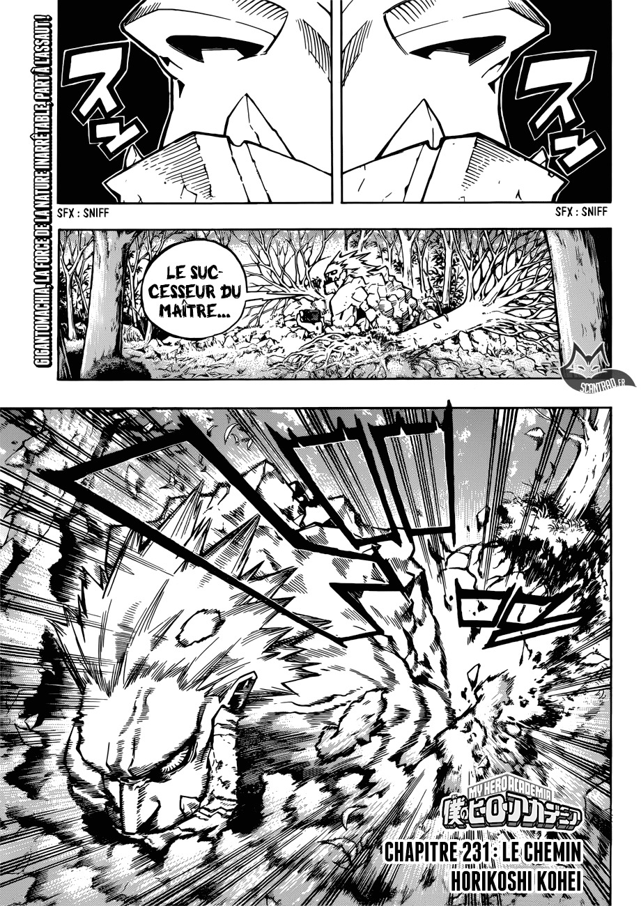 Read My Hero Academia VF Manga Online