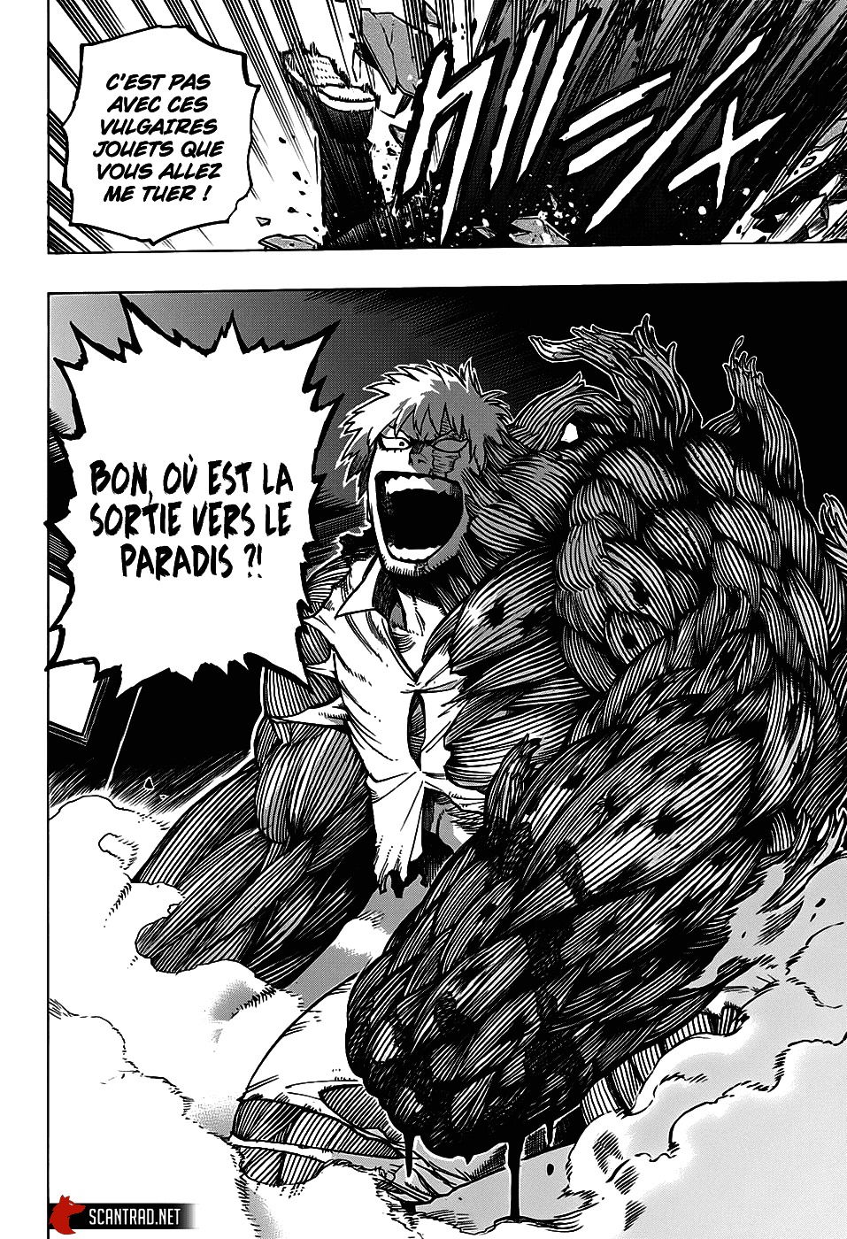 Read My Hero Academia VF Manga Online