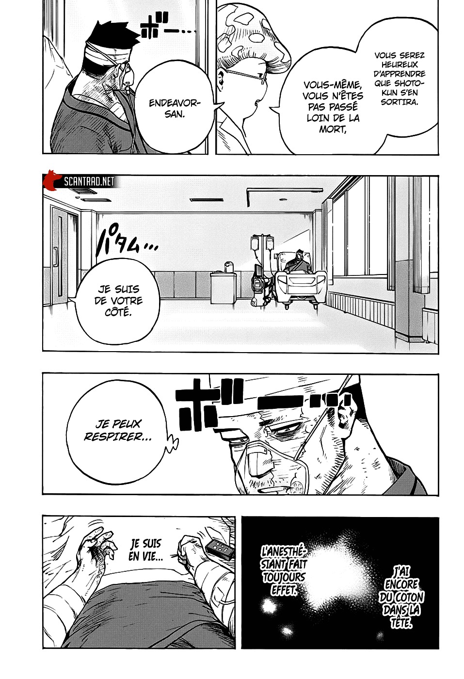 Read My Hero Academia VF Manga Online