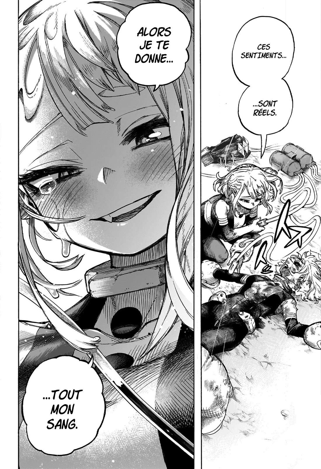 Read My Hero Academia VF Manga Online