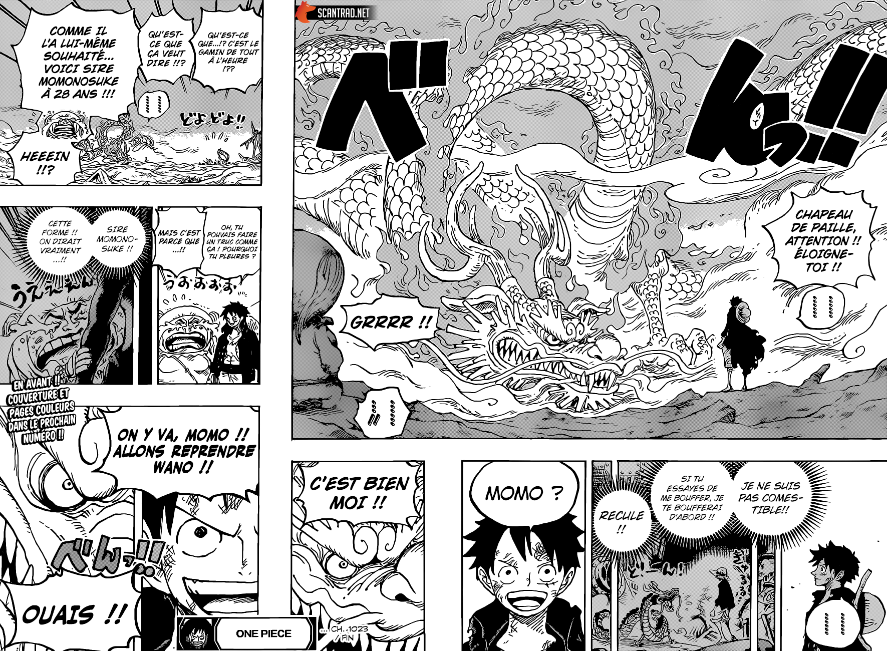 Read One Piece VF Manga Online