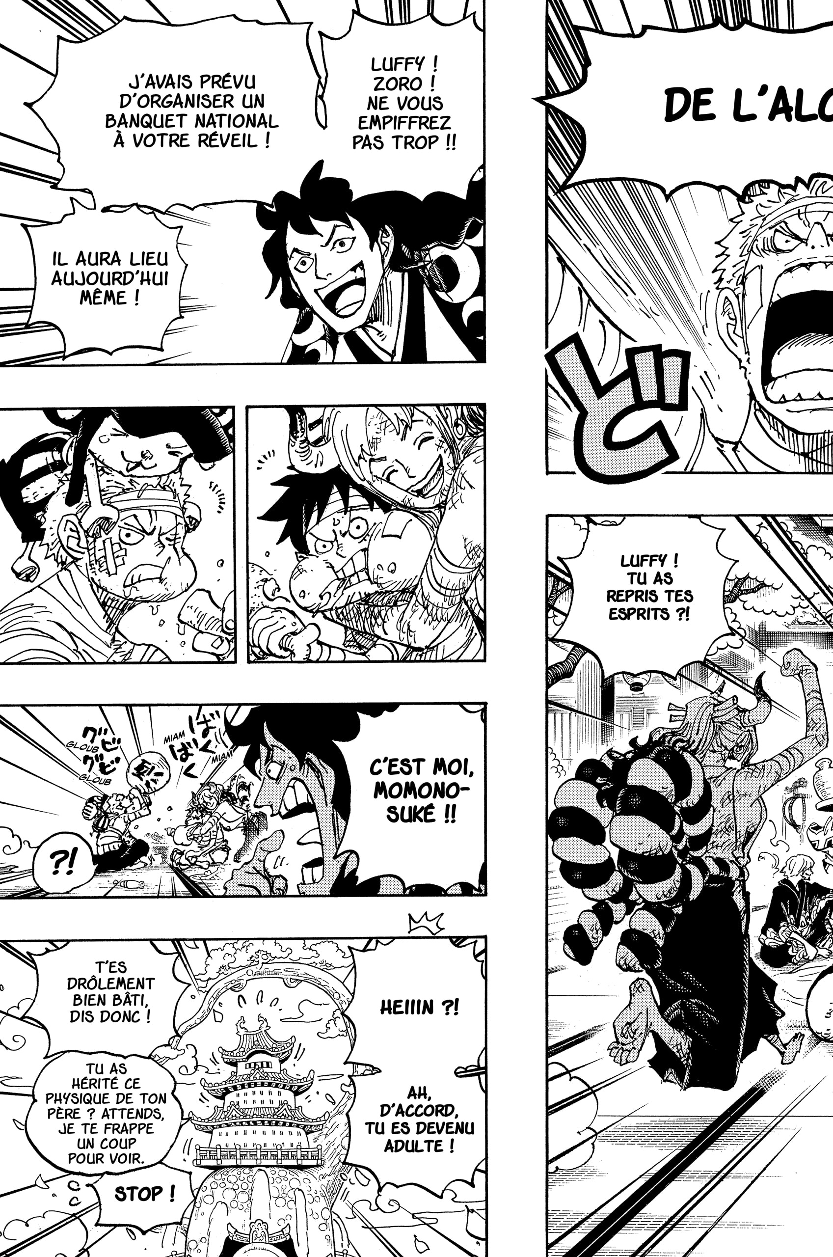 Read One Piece VF Manga Online