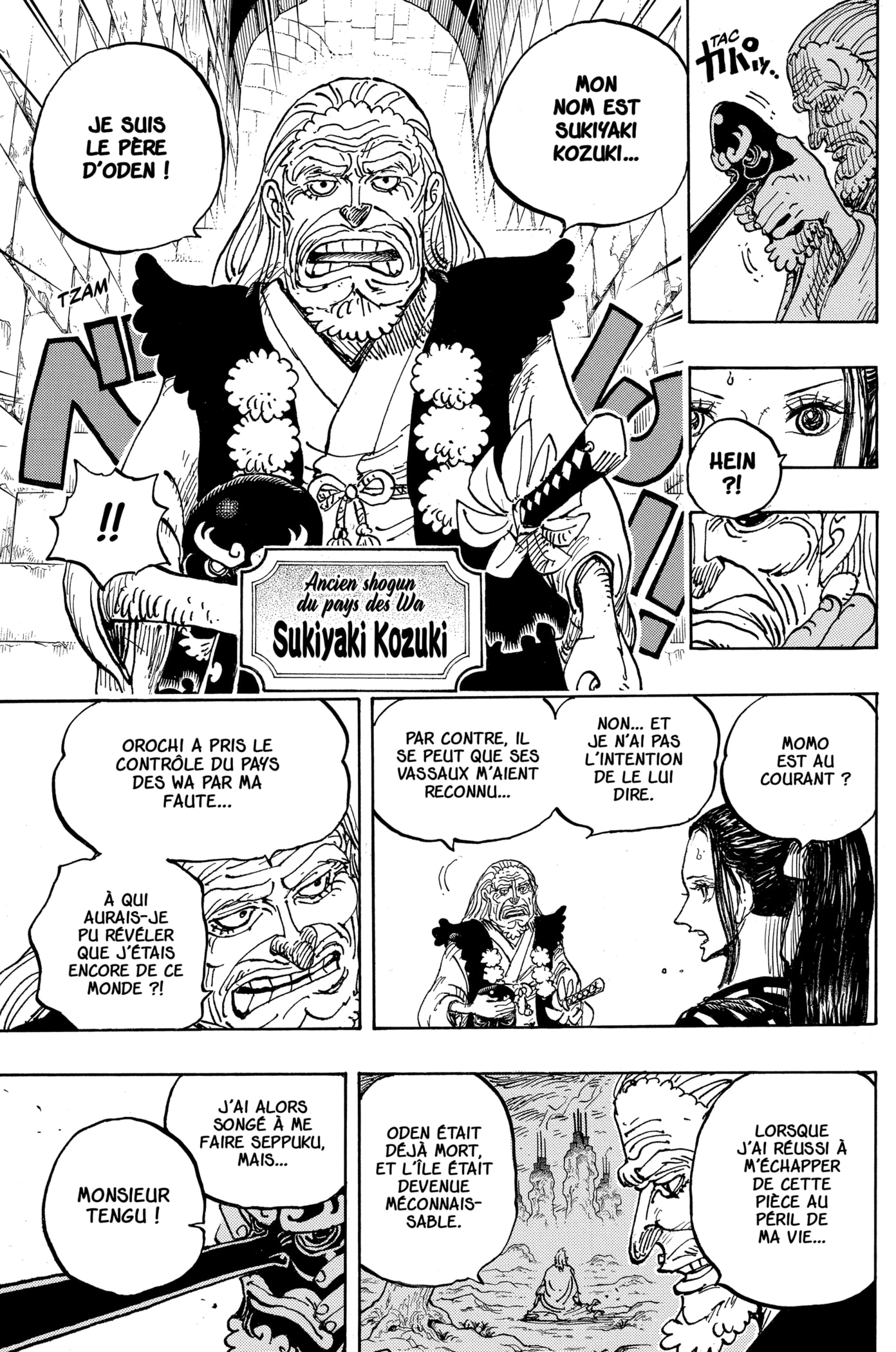 Read One Piece VF Manga Online