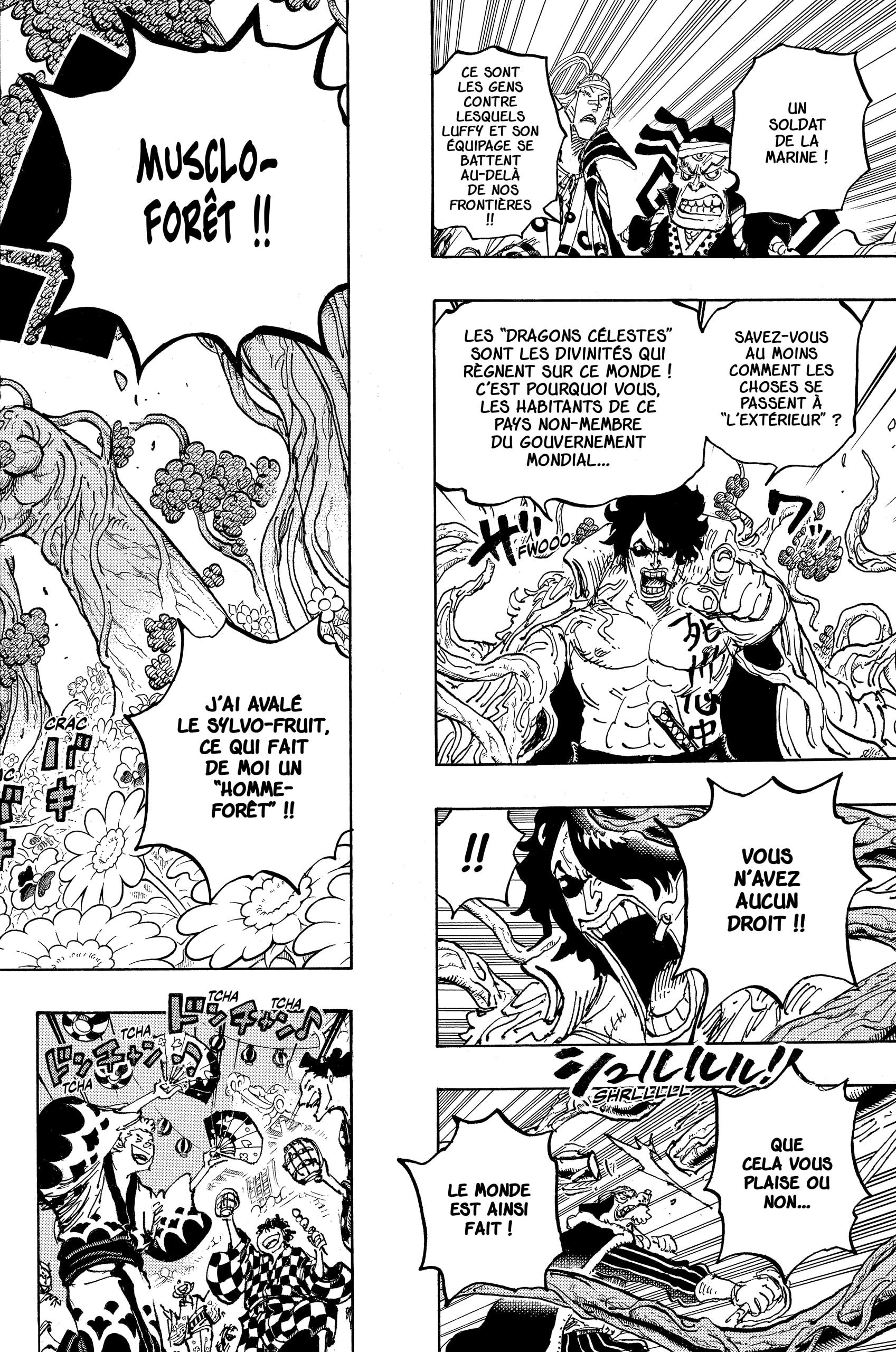Read One Piece VF Manga Online