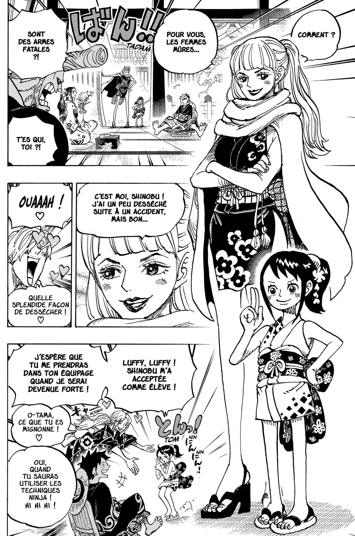 Read One Piece VF Manga Online