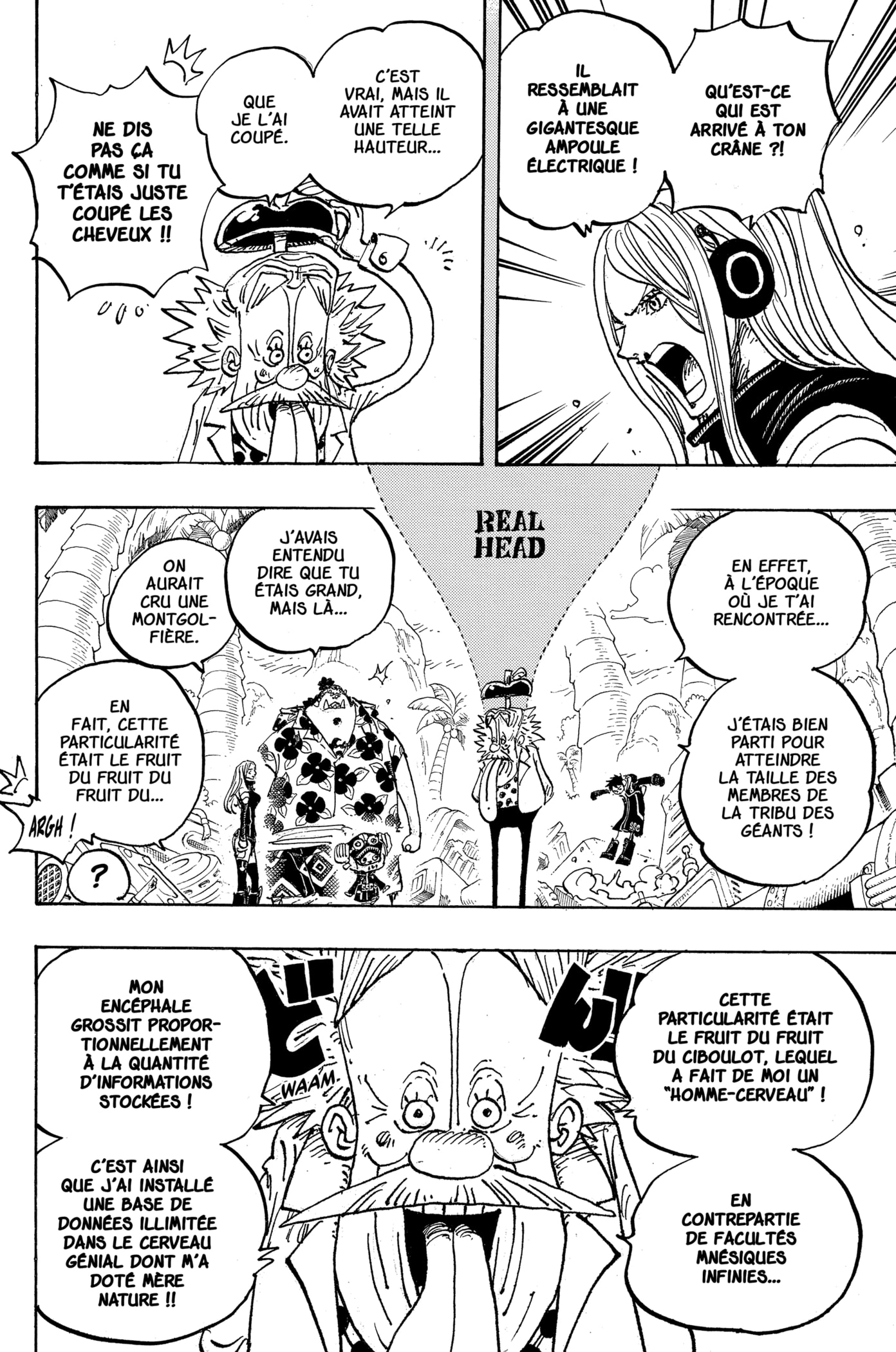 Read One Piece VF Manga Online