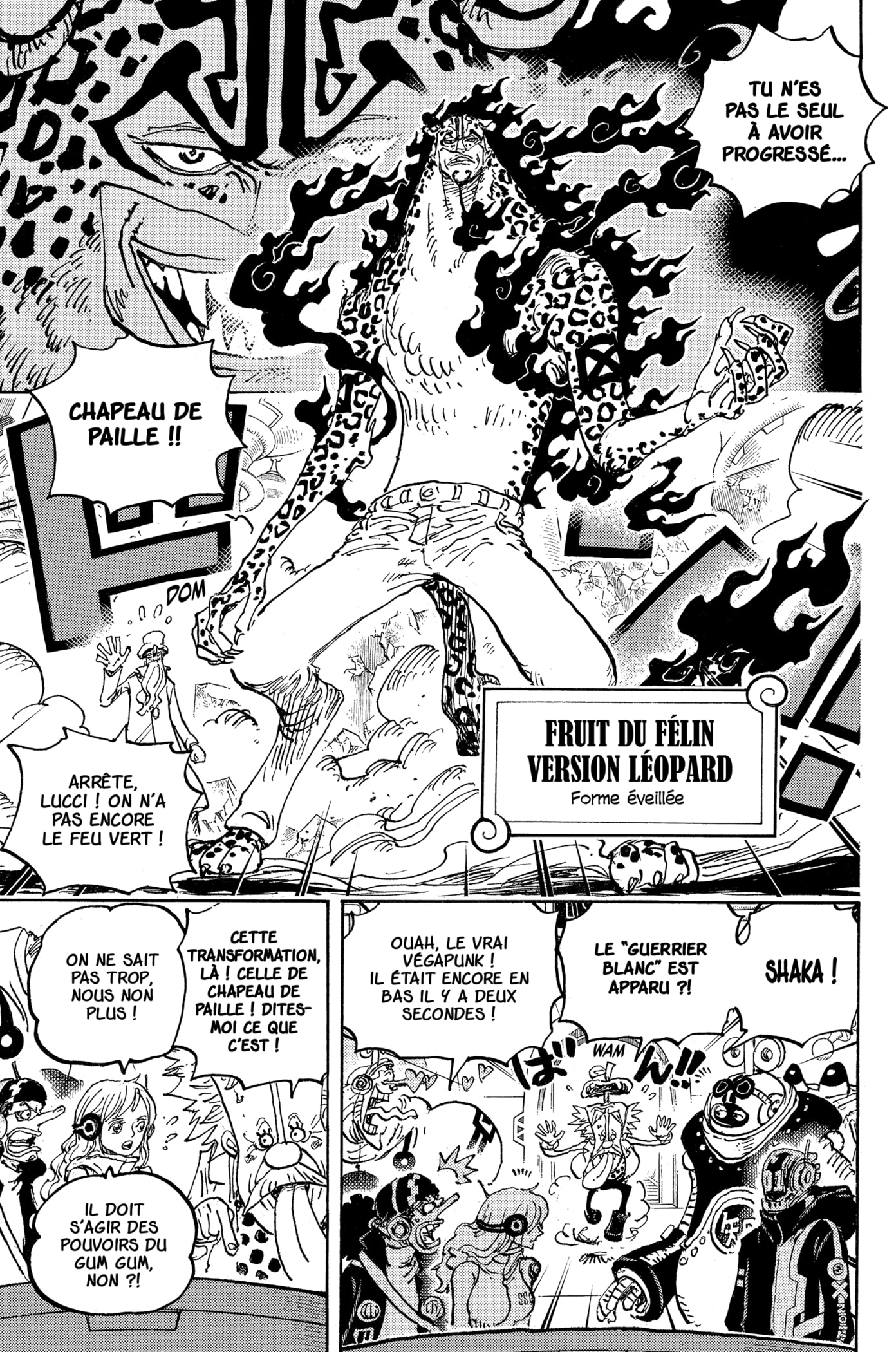 Read One Piece VF Manga Online