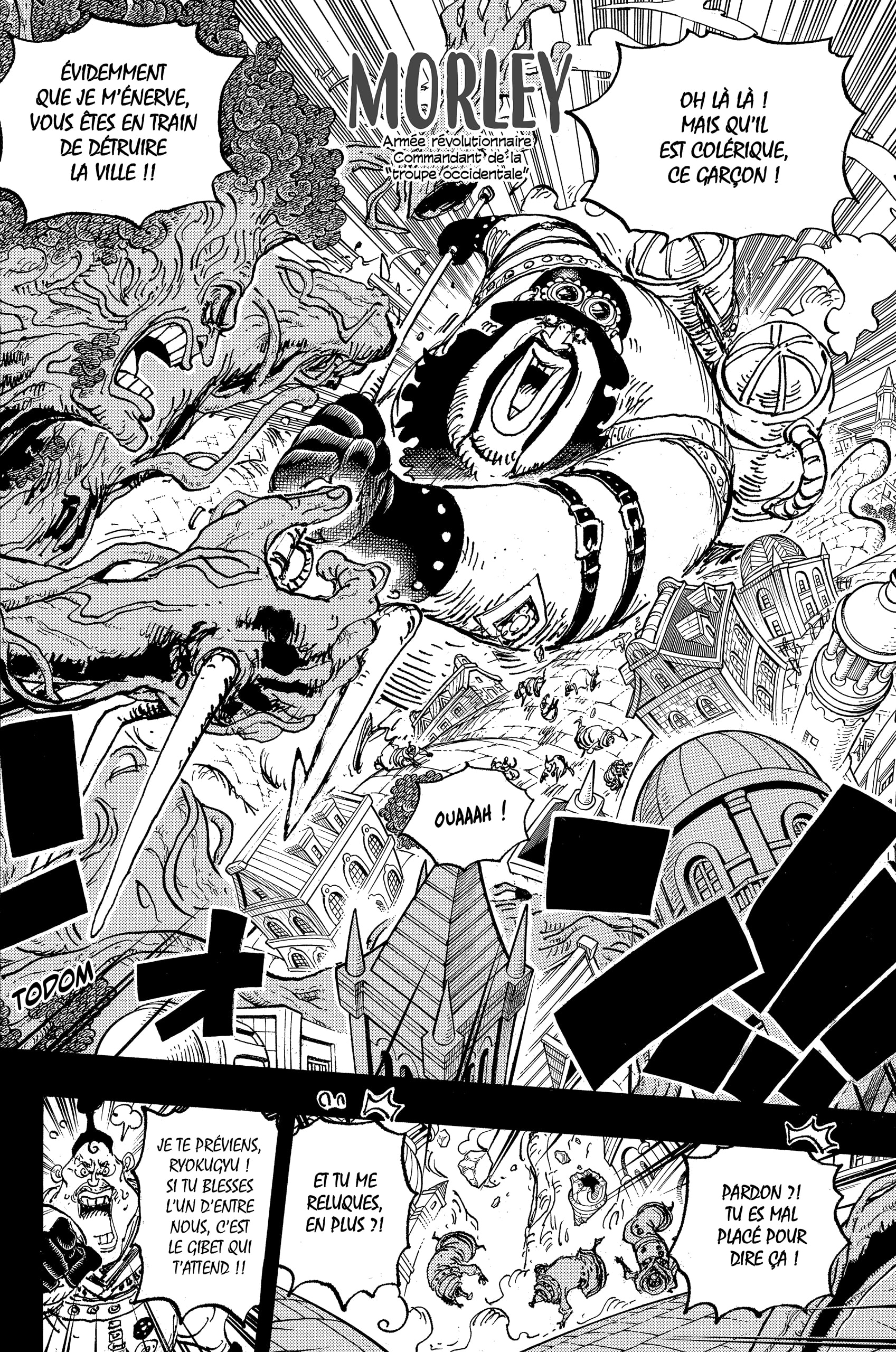Read One Piece VF Manga Online
