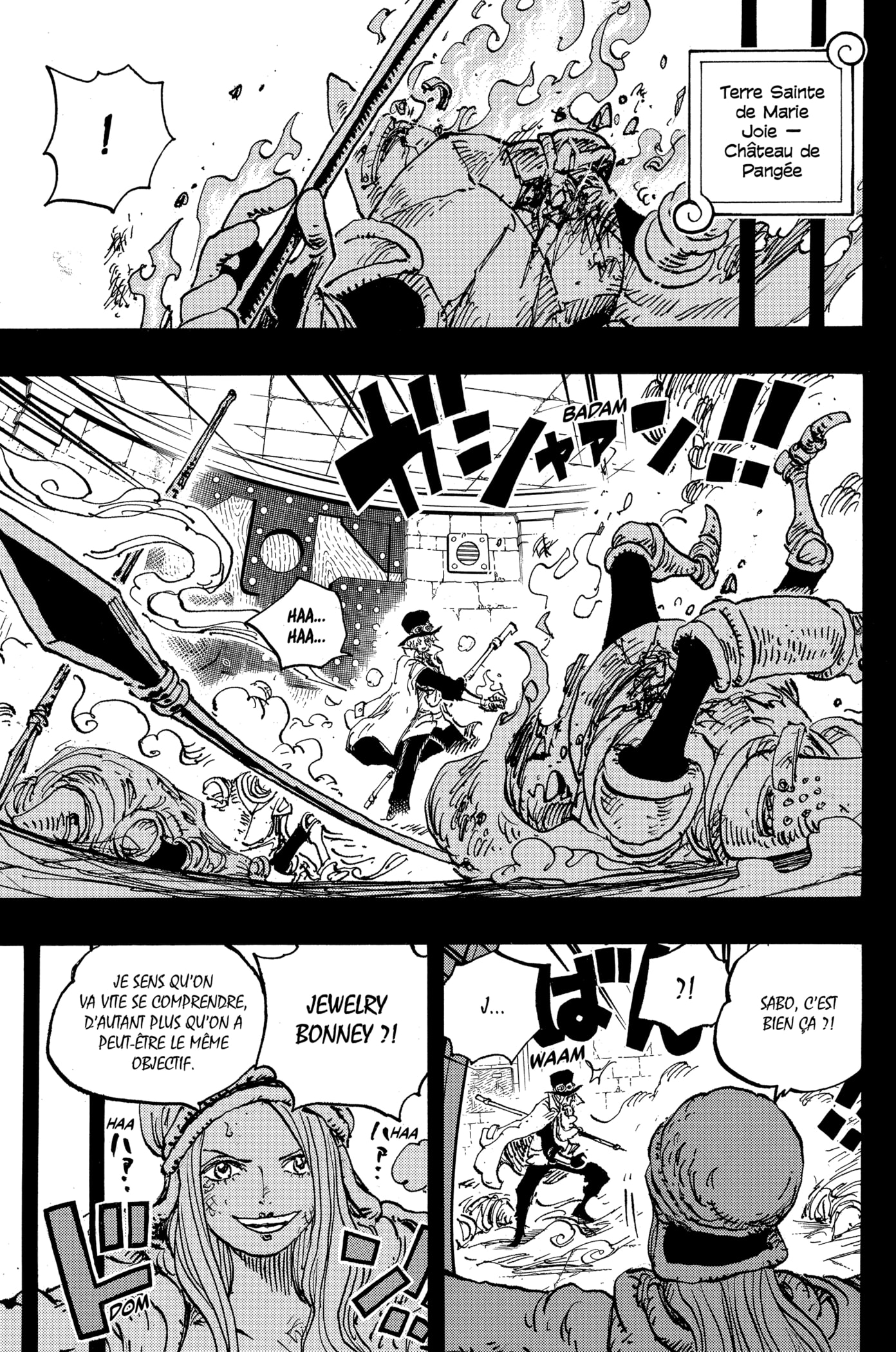 Read One Piece VF Manga Online