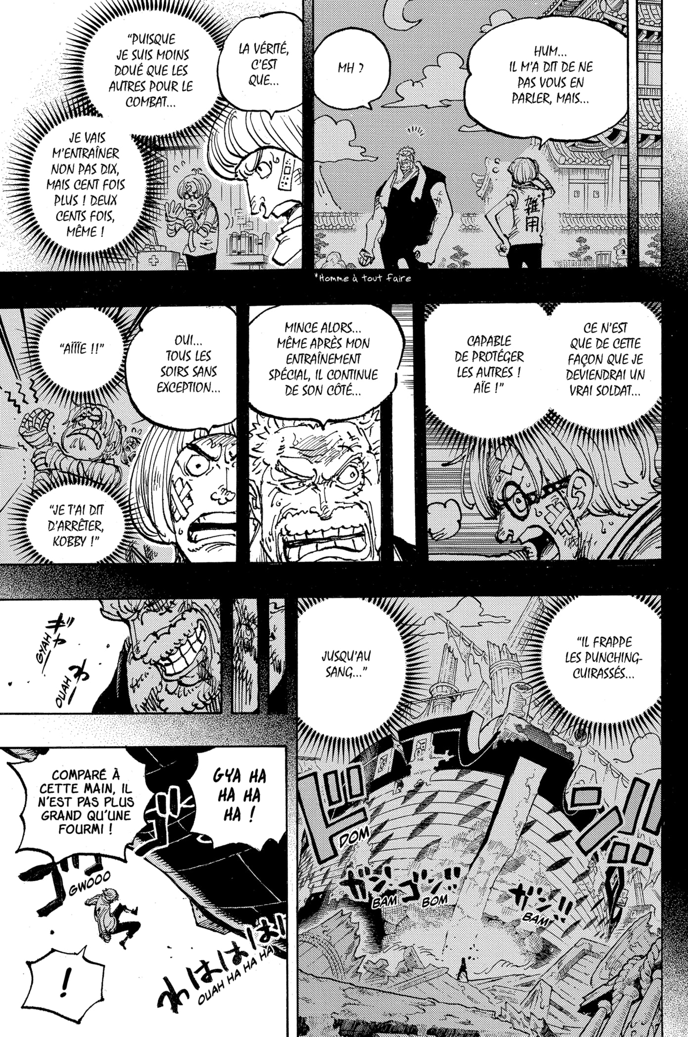 Read One Piece VF Manga Online
