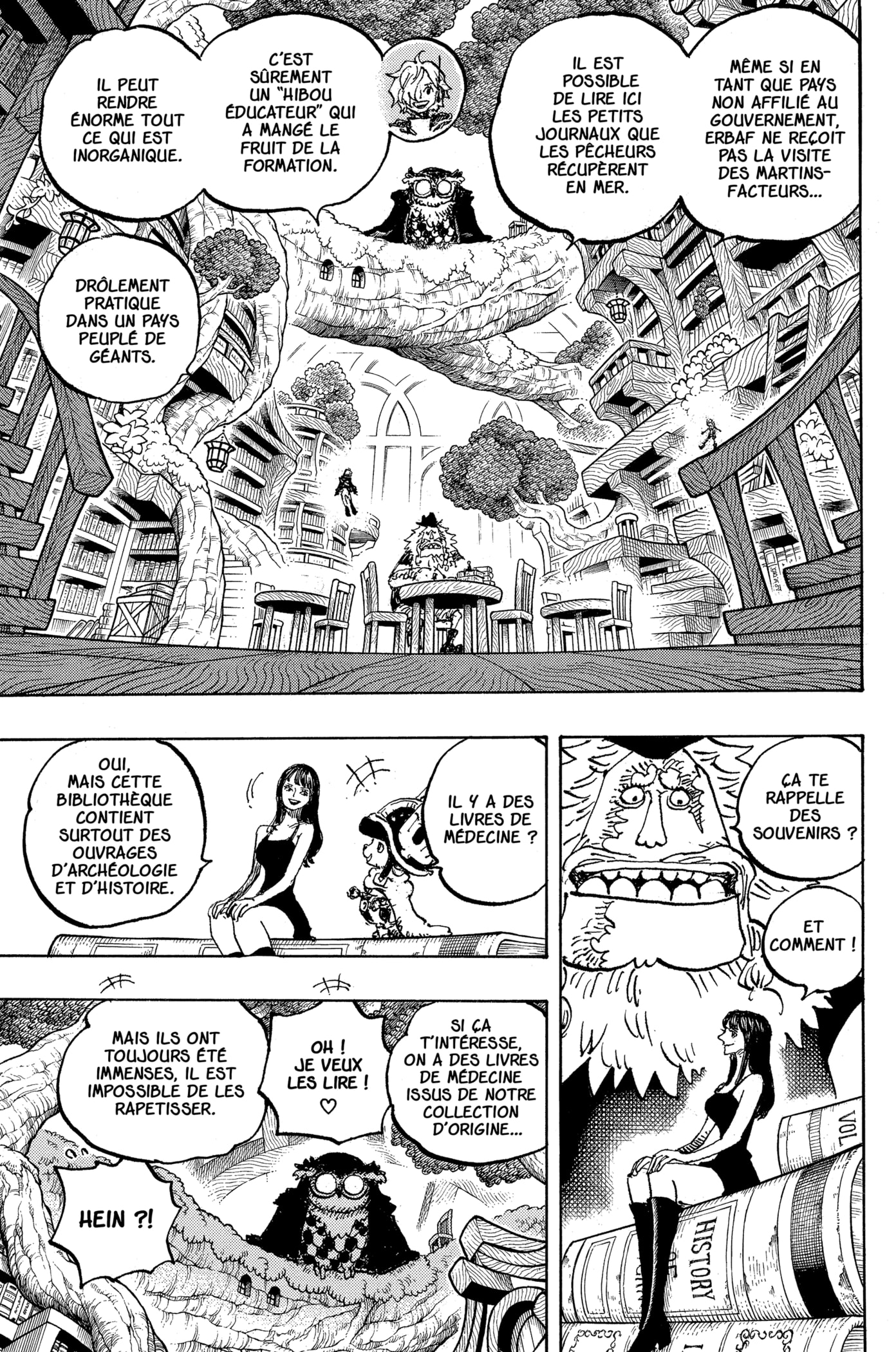 Read One Piece VF Manga Online