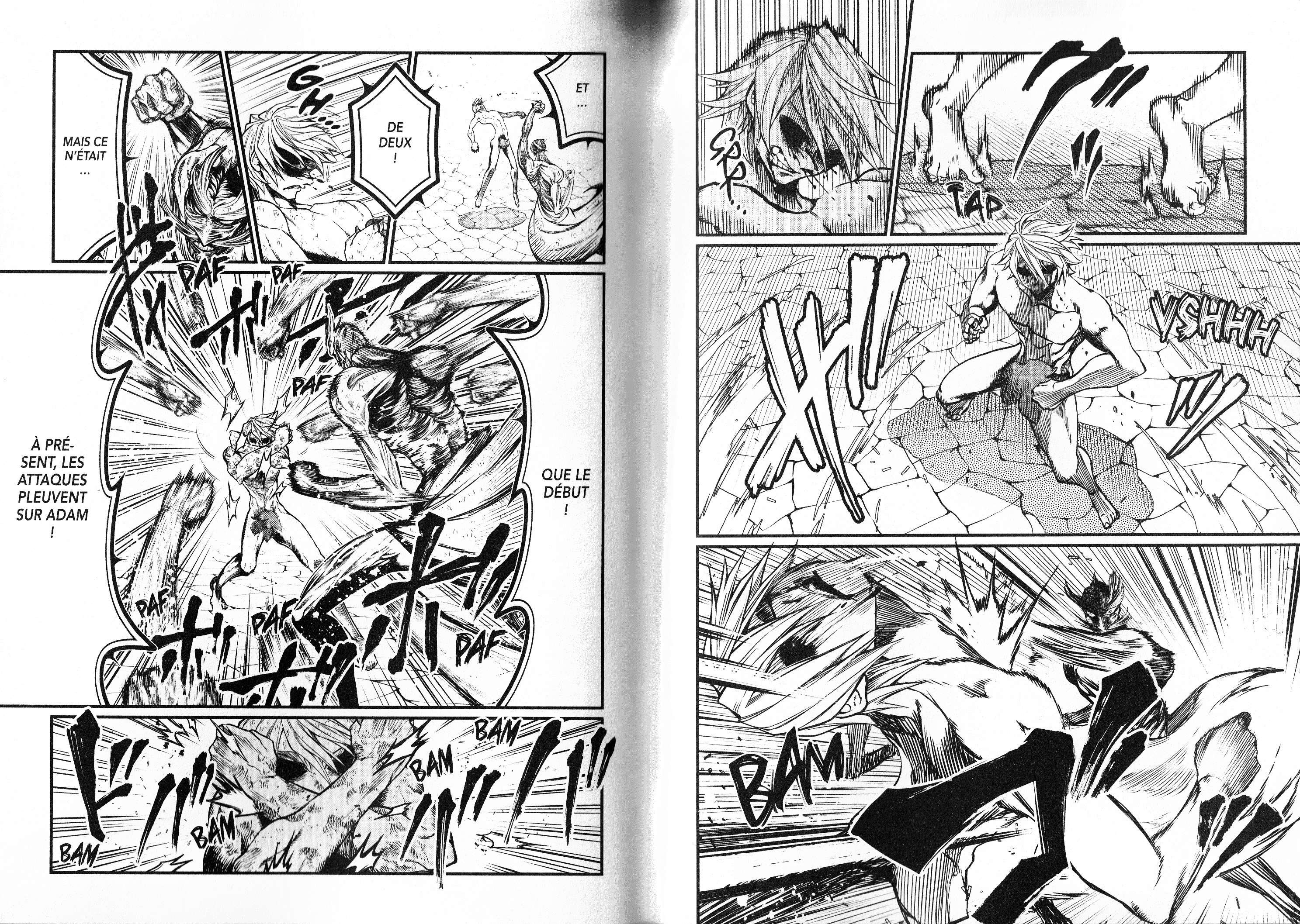 Read Valkyrie Apocalypse VF Manga Online