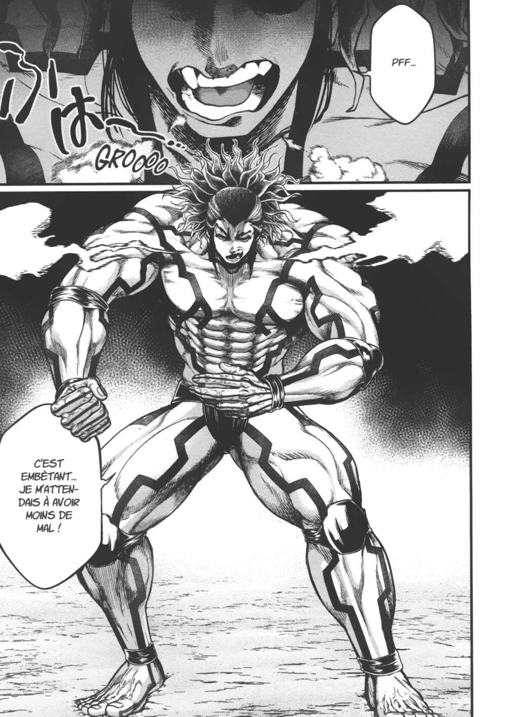Read Valkyrie Apocalypse VF Manga Online