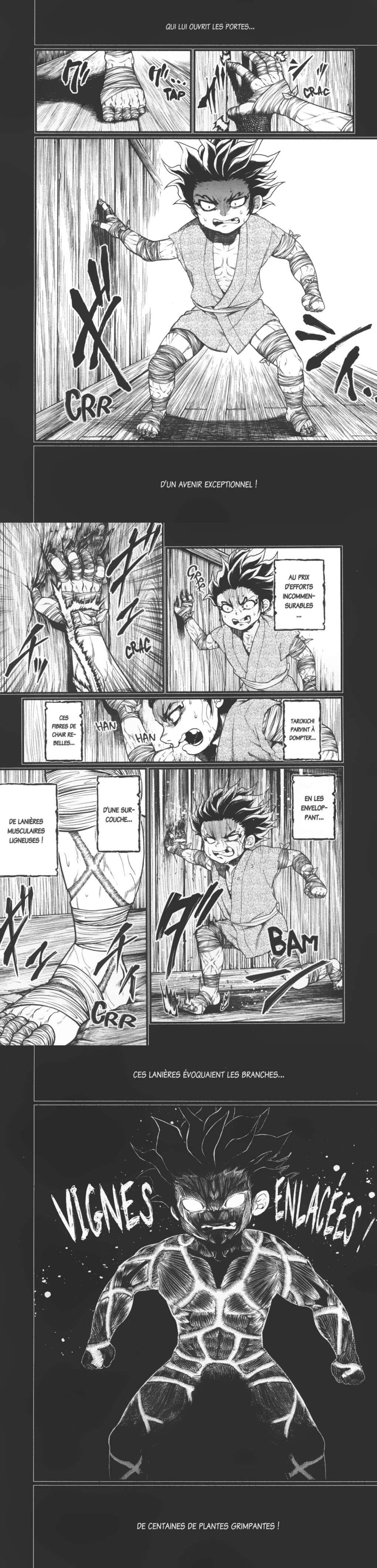 Read Valkyrie Apocalypse VF Manga Online