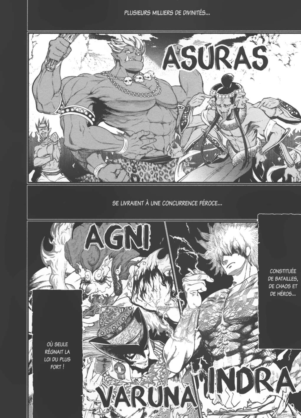 Read Valkyrie Apocalypse VF Manga Online