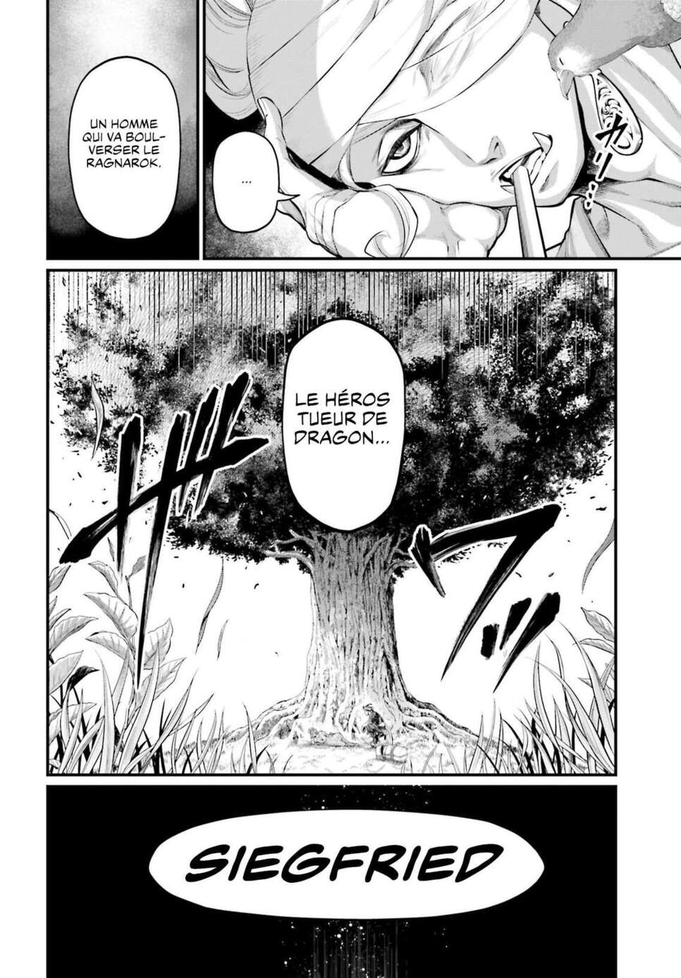 Read Valkyrie Apocalypse VF Manga Online