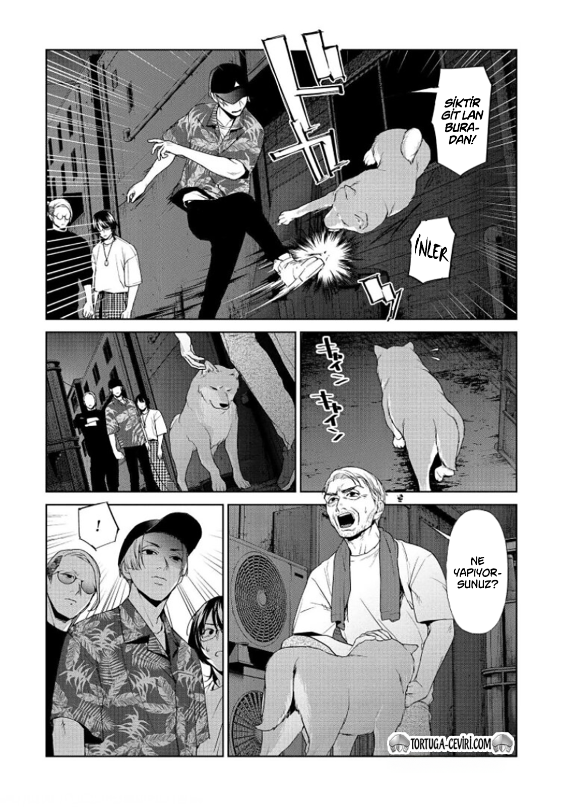 Read Brutal Tr Manga Online