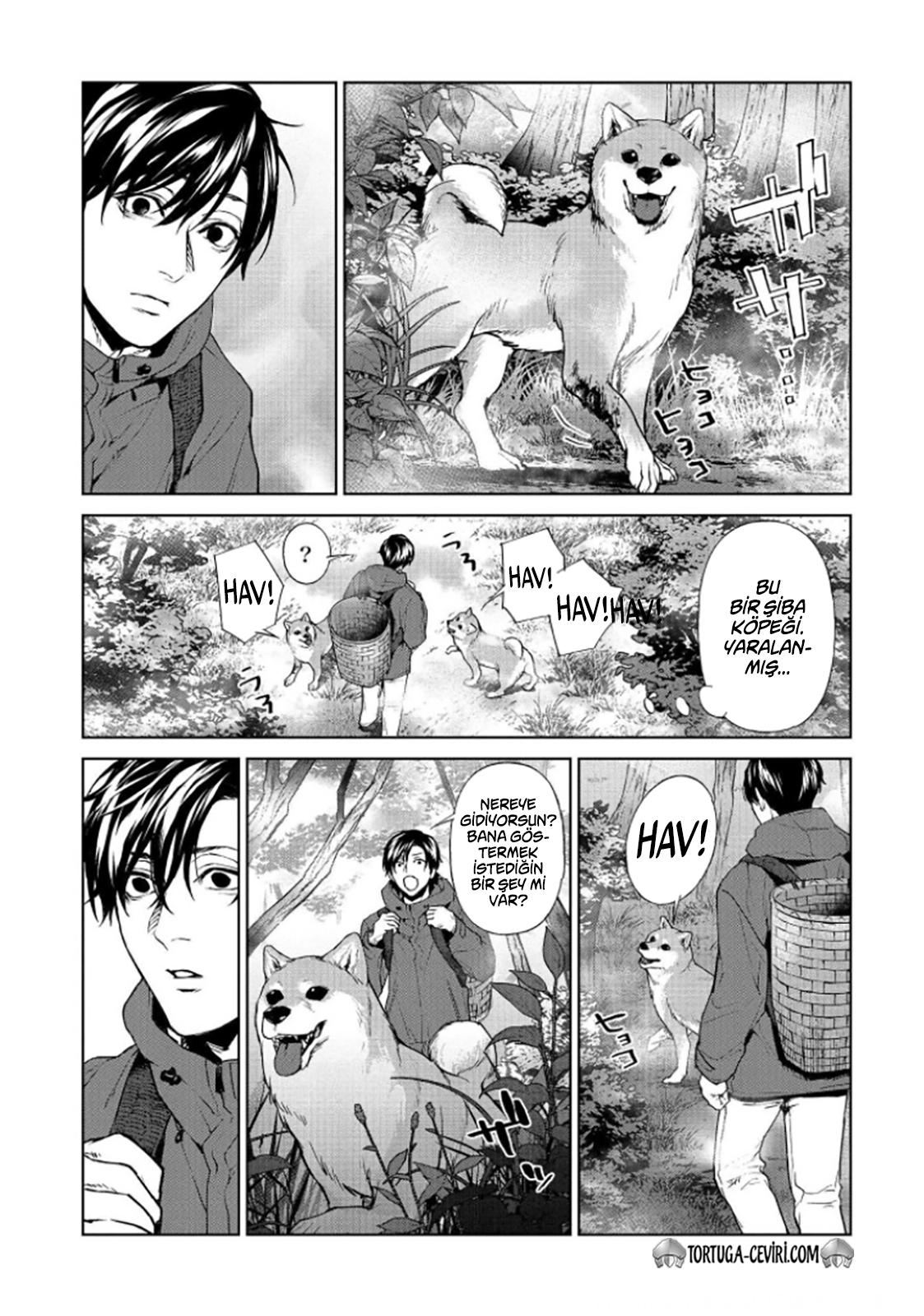 Read Brutal Tr Manga Online