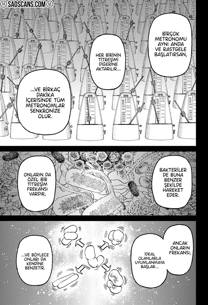 Read Dandadan Tr Manga Online
