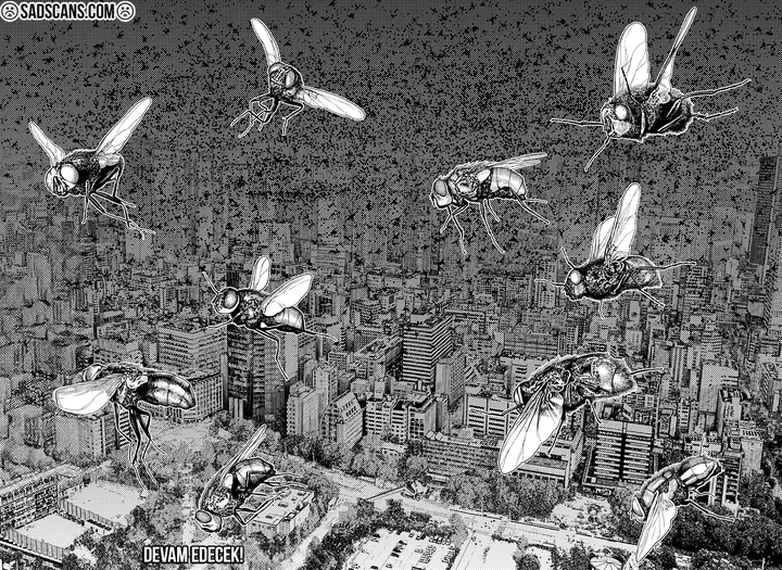 Read Dandadan Tr Manga Online