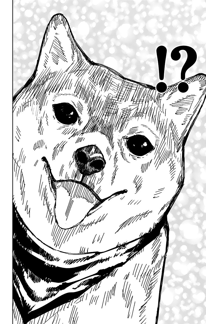 Read Jujutsu Kaisen Tr Manga Online