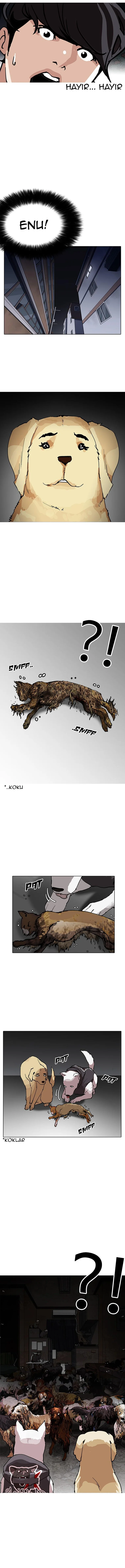 Read Lookism Tr Manga Online