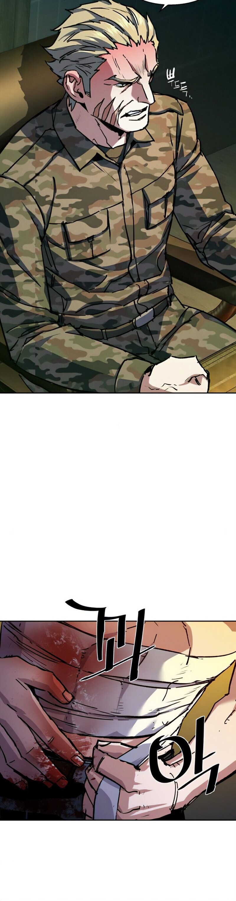 Read Mercenary Enrollment Tr Manga Online