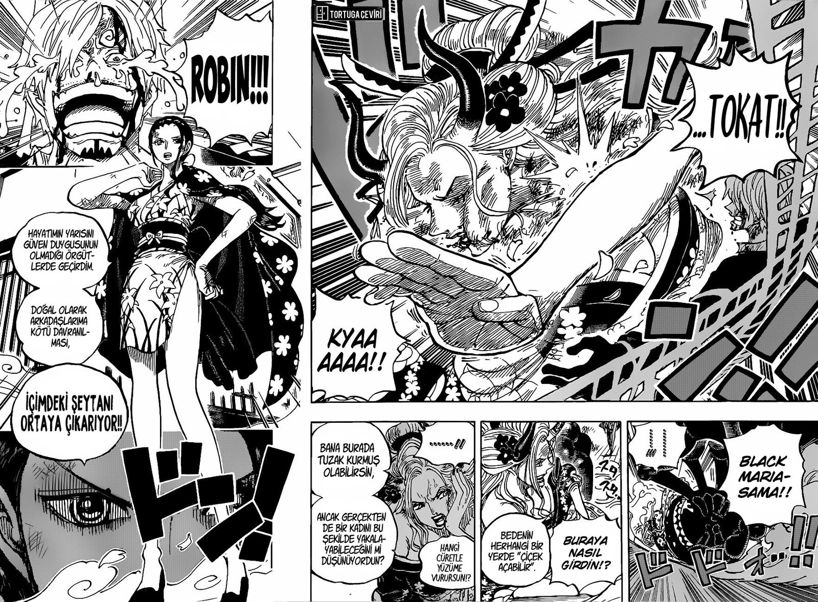 Read One Piece Tr Manga Online