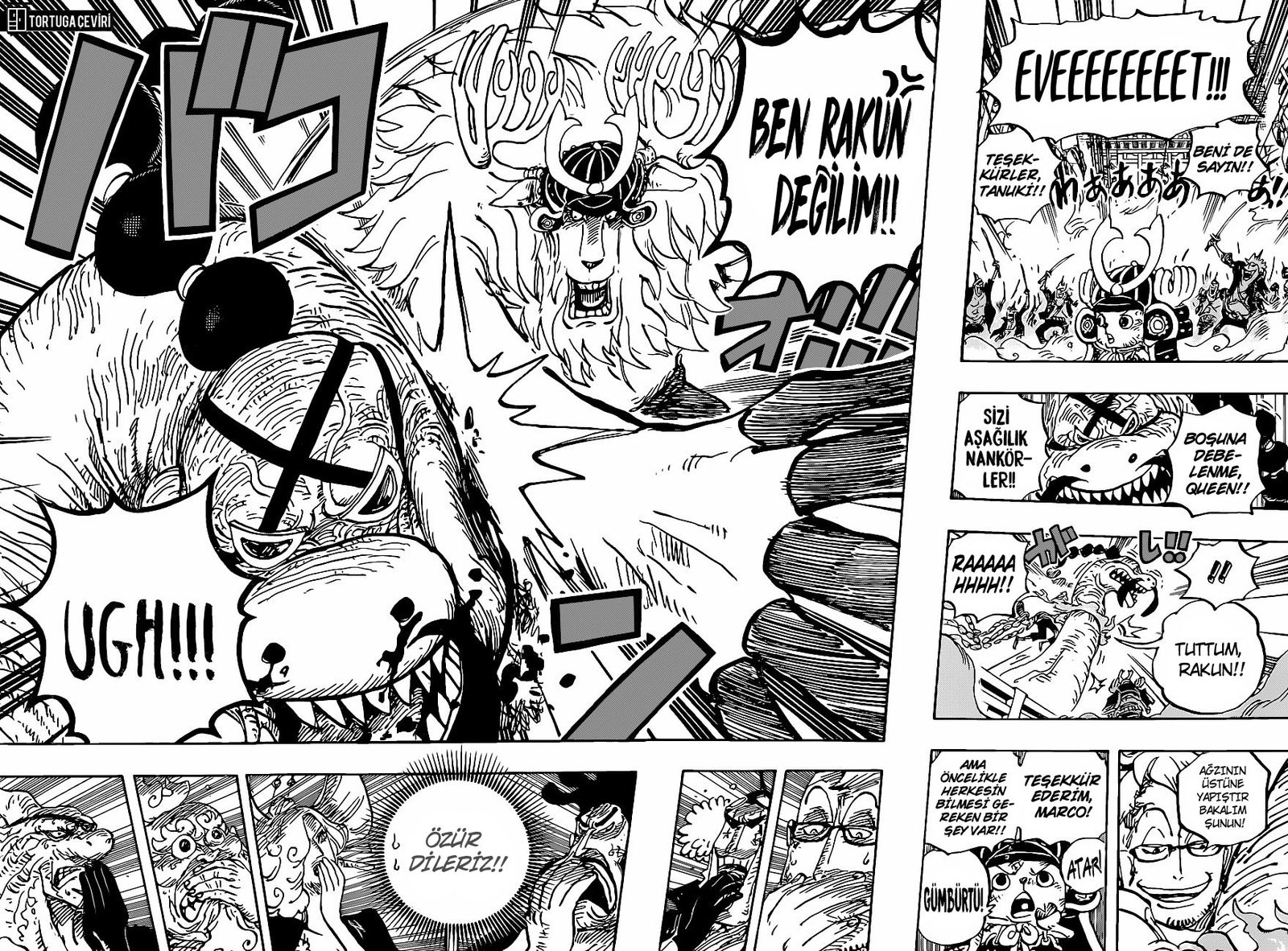 Read One Piece Tr Manga Online