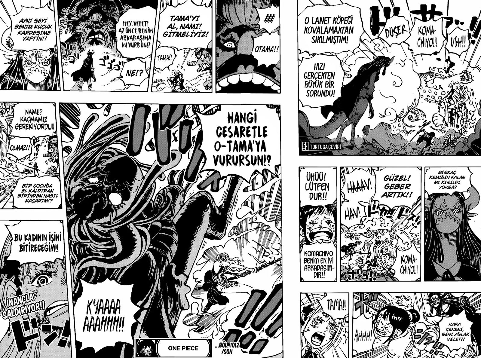 Read One Piece Tr Manga Online