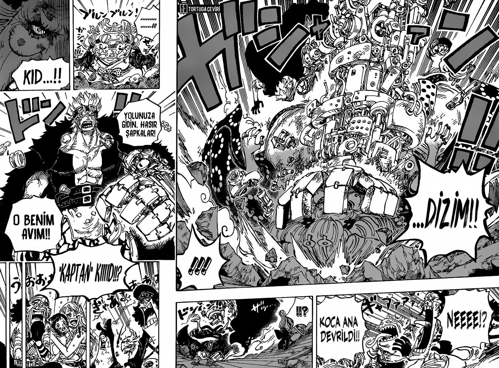 Read One Piece Tr Manga Online