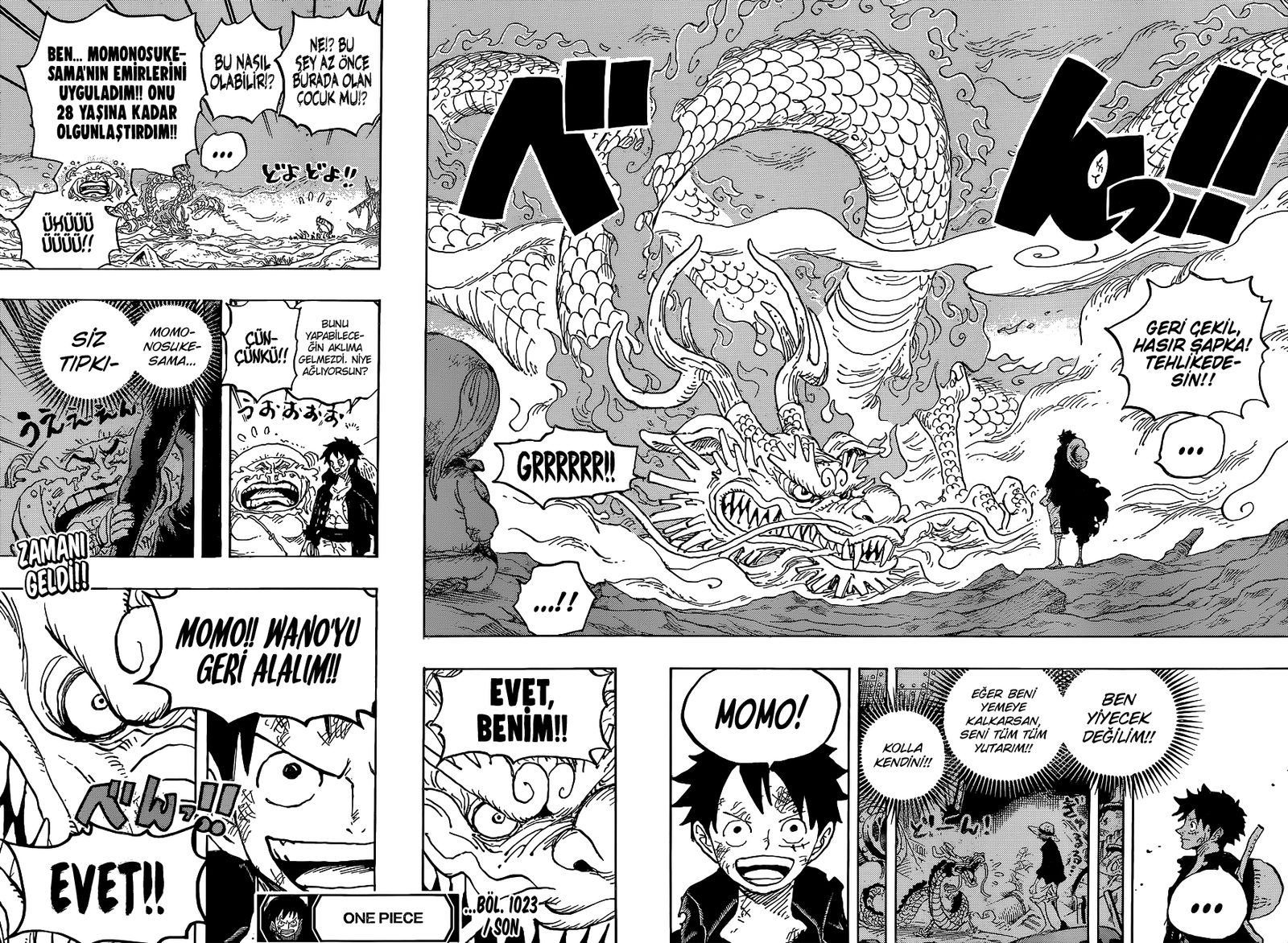 Read One Piece Tr Manga Online