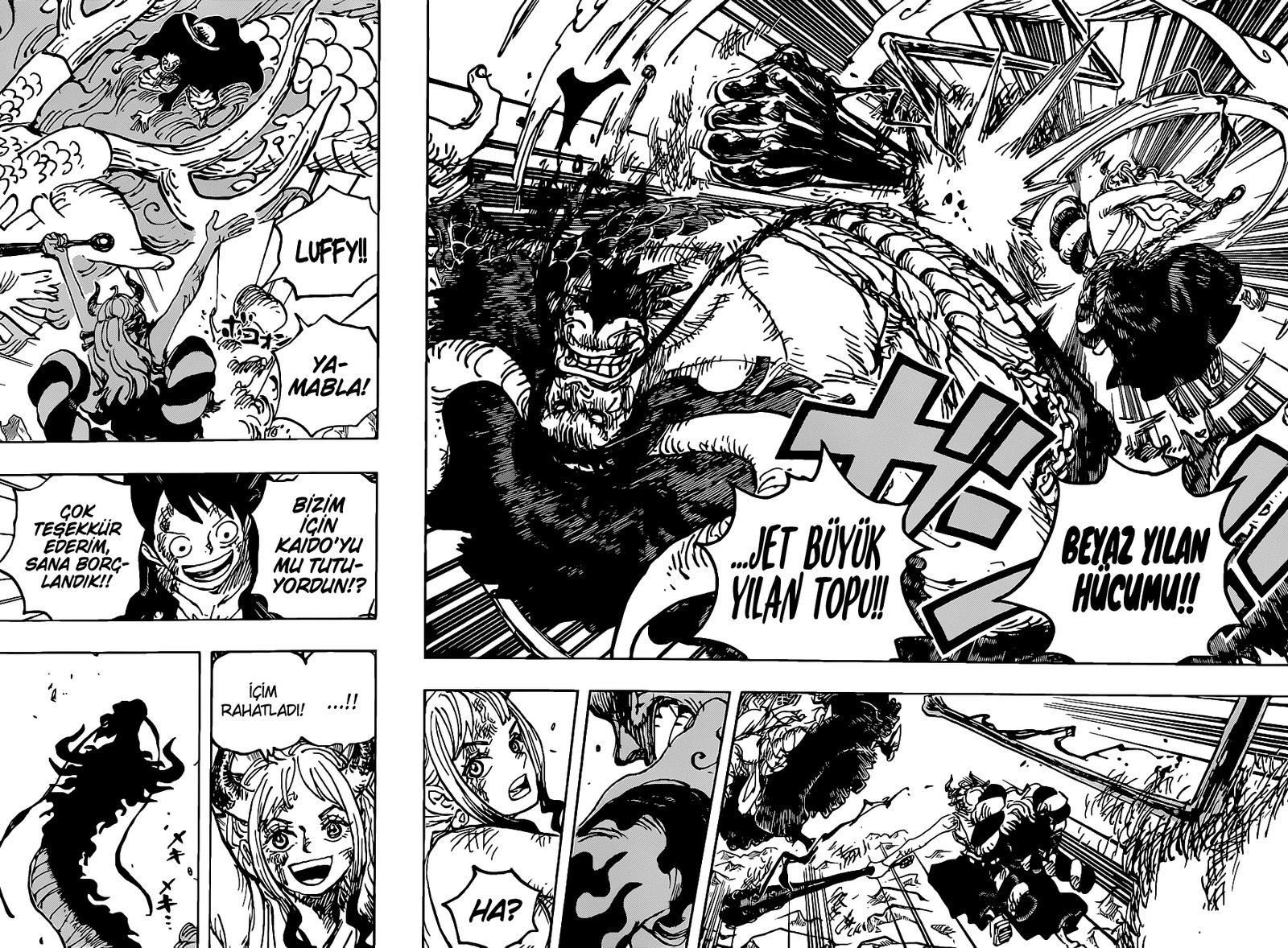 Read One Piece Tr Manga Online