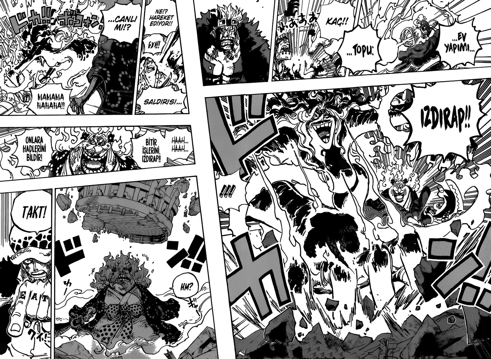 Read One Piece Tr Manga Online