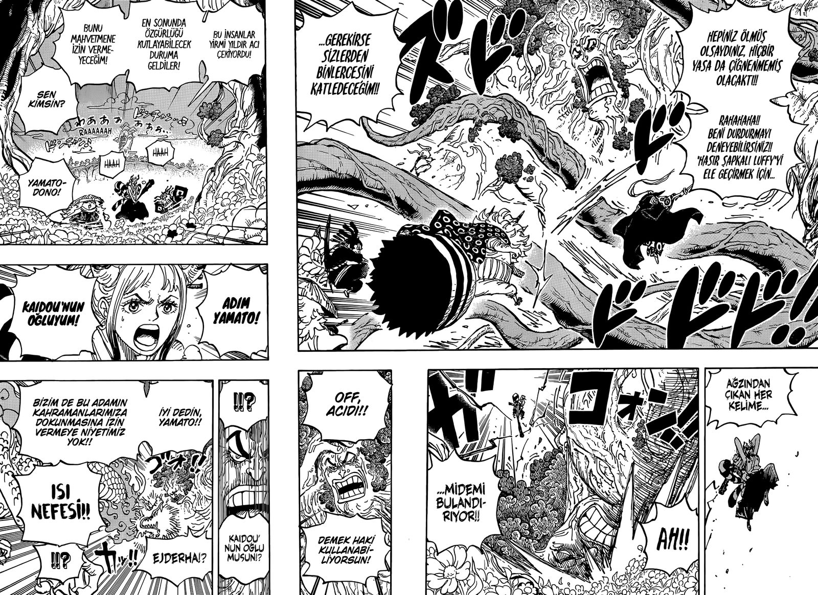 Read One Piece Tr Manga Online
