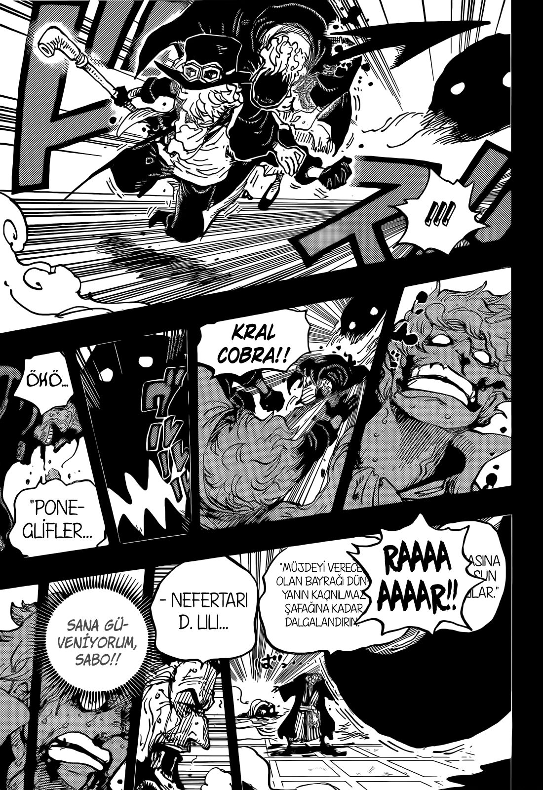 Read One Piece Tr Manga Online