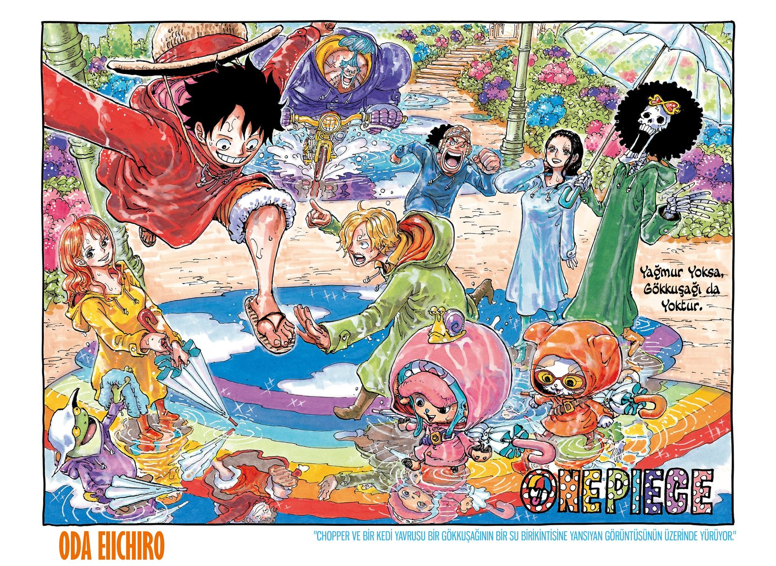 Read One Piece Tr Manga Online
