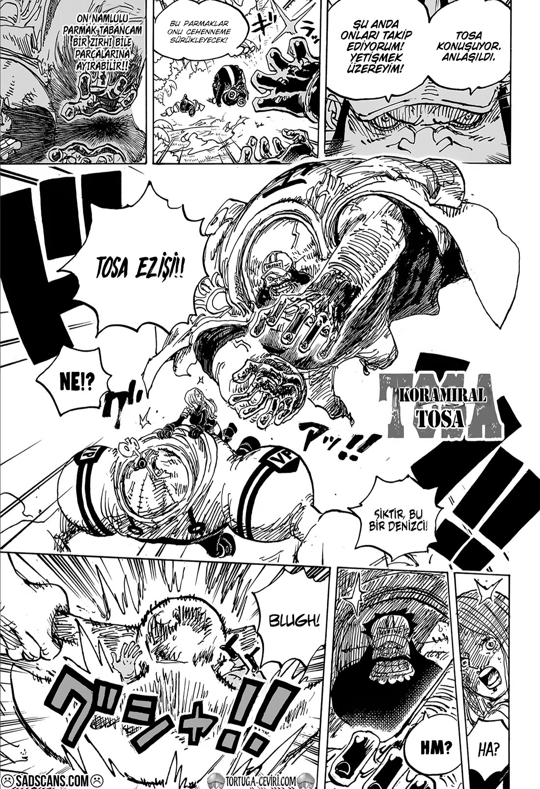 Read One Piece Tr Manga Online