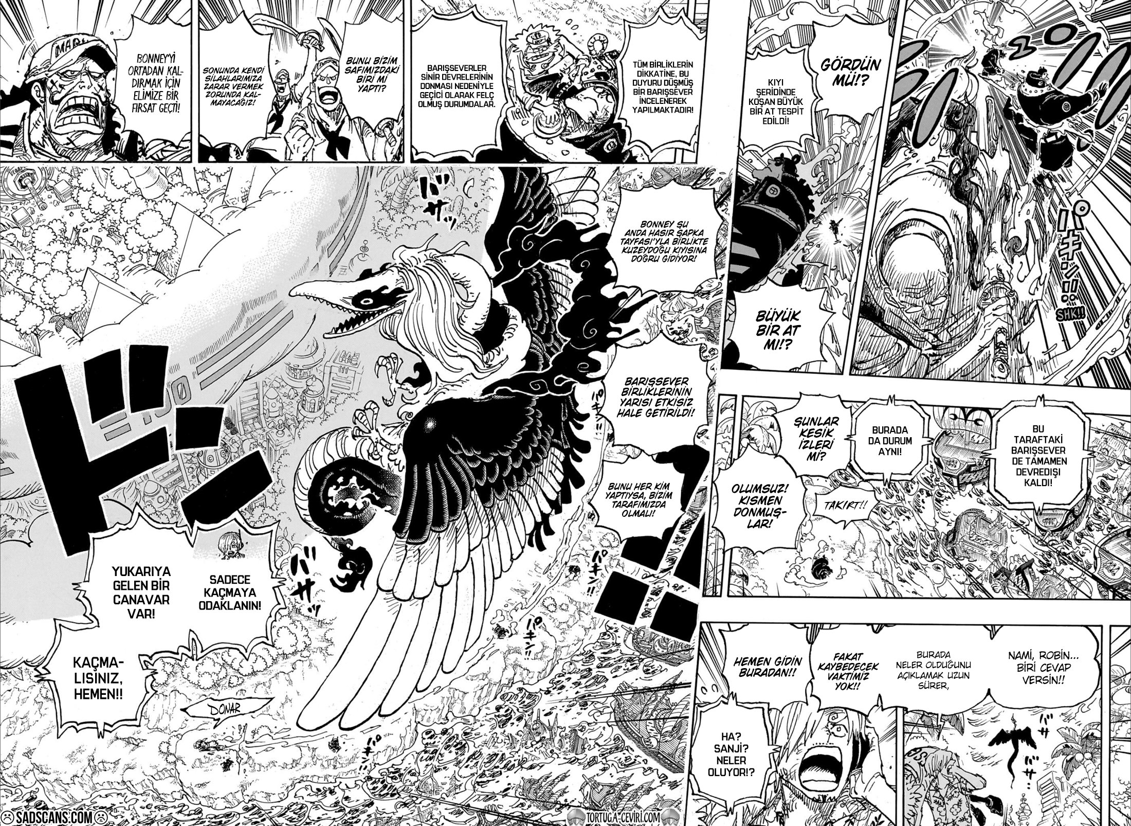 Read One Piece Tr Manga Online