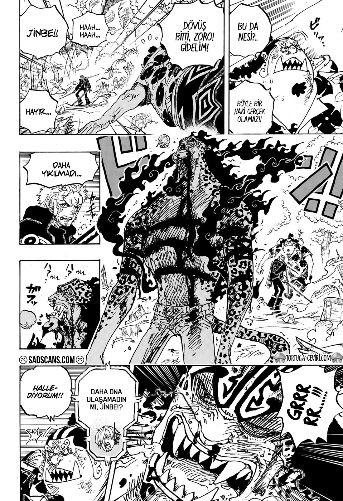 Read One Piece Tr Manga Online