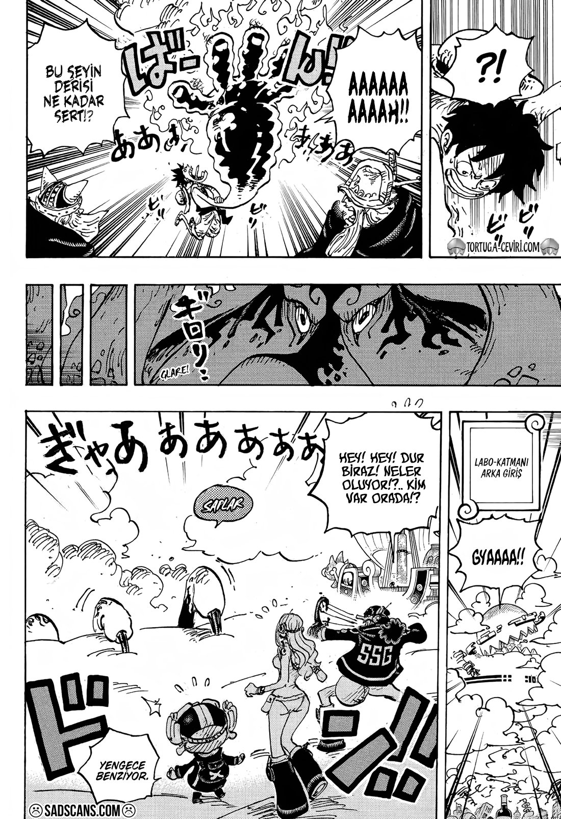 Read One Piece Tr Manga Online