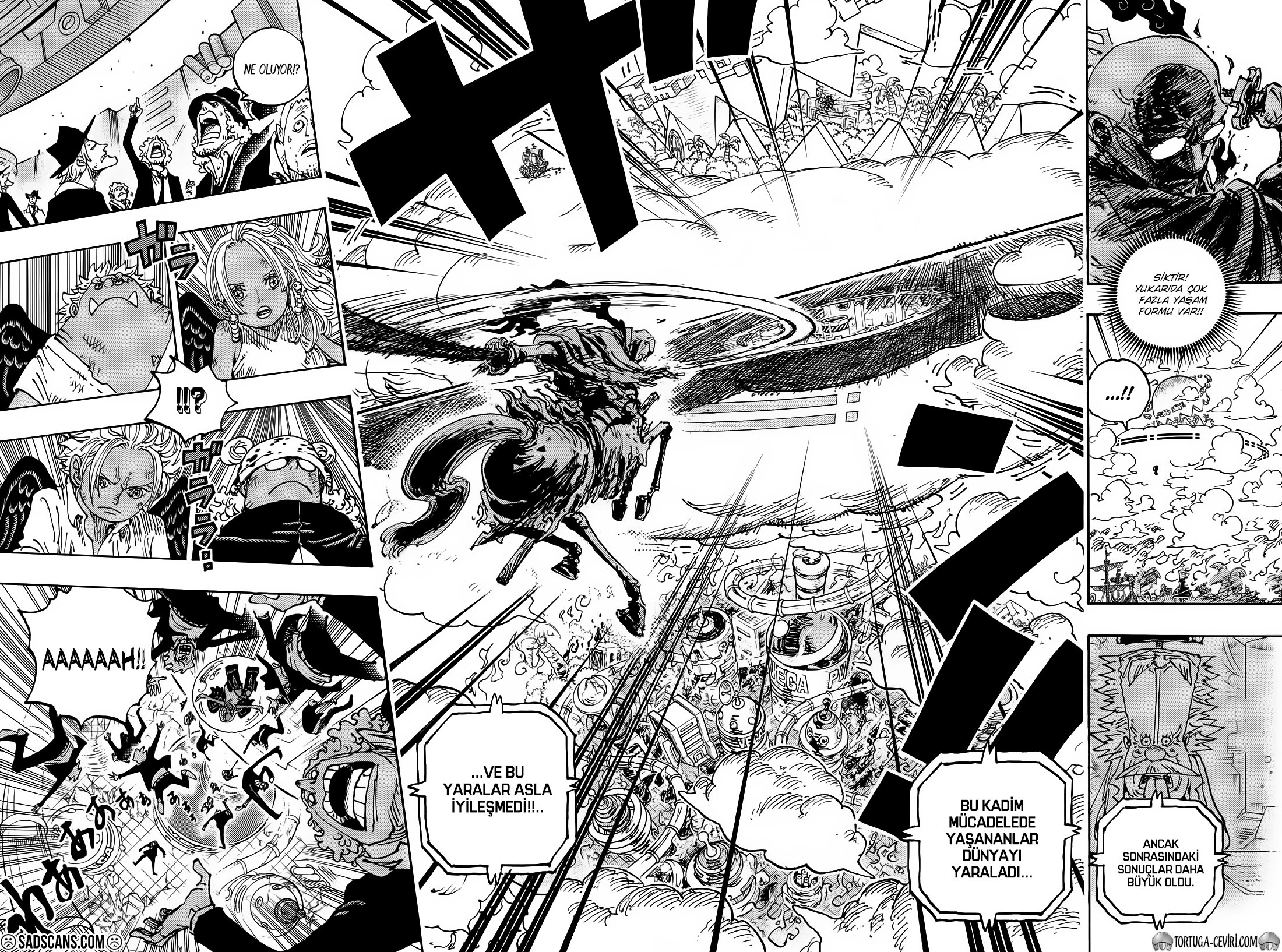 Read One Piece Tr Manga Online