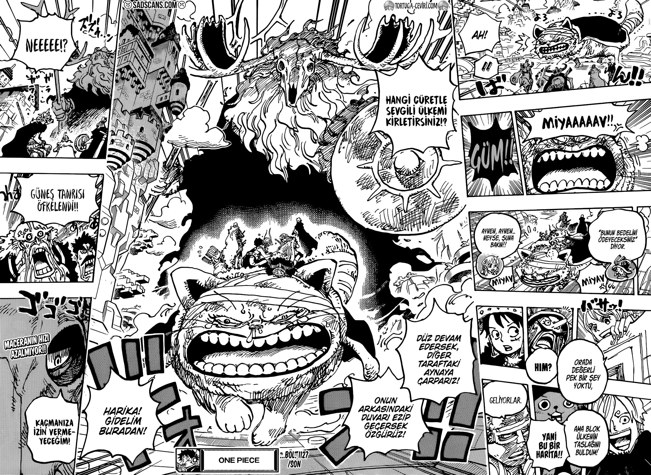Read One Piece Tr Manga Online