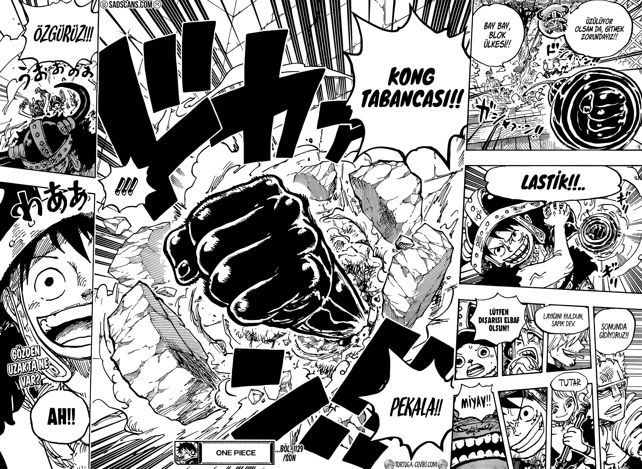 Read One Piece Tr Manga Online