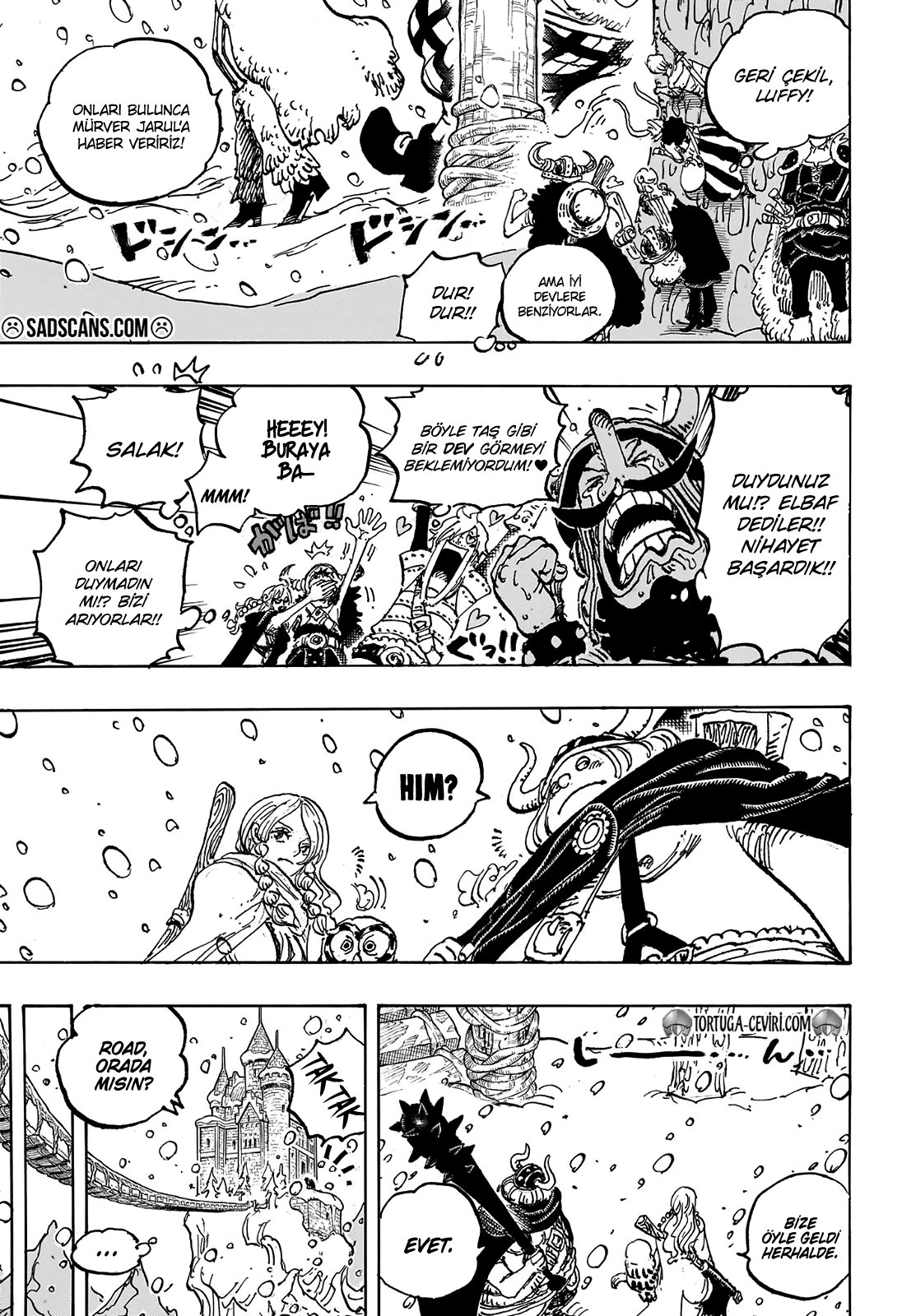 Read One Piece Tr Manga Online