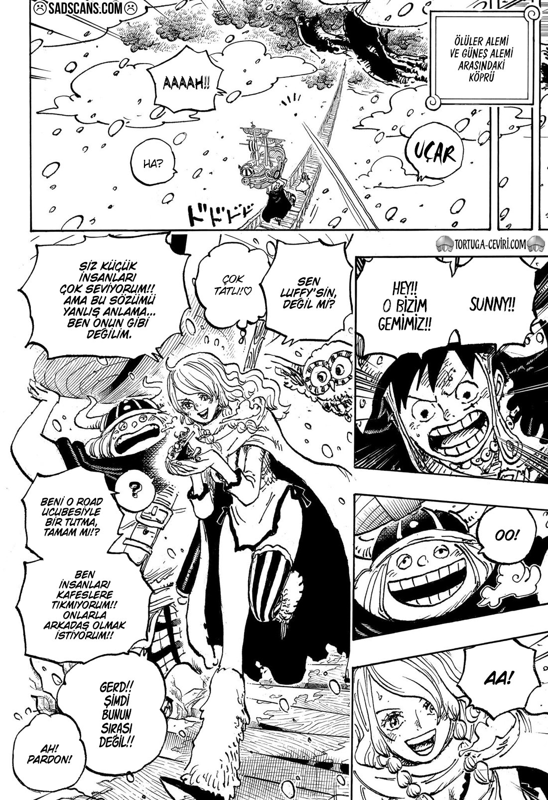 Read One Piece Tr Manga Online